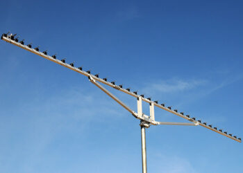 23cm 36element Heavy Duty Antenna 23cm36DXHDP